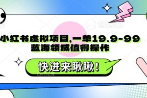 小红书虚拟项目，一单19.9-99，蓝海领域值得操作