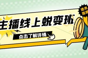 2023主播线上蜕变班：0粉号话术的熟练运用、憋单、停留、互动（45节课）